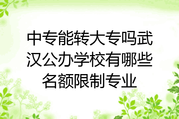 中专能转大专吗武汉公办学校有哪些名额限制专业