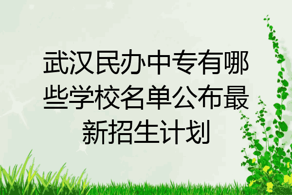 武汉民办中专有哪些学校名单公布最新招生计划