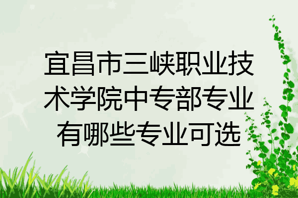 宜昌市三峡职业技术学院中专部专业有哪些专业可选