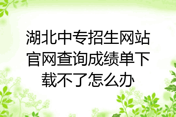 湖北中专招生网站官网查询成绩单下载不了怎么办