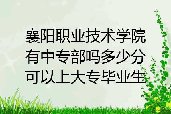 襄阳职业技术学院有中专部吗多少分可以上大专毕业生