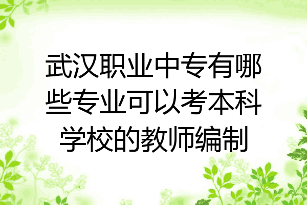 武汉职业中专有哪些专业可以考本科学校的教师编制