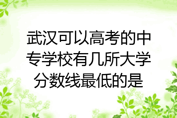 武汉可以高考的中专学校有几所大学分数线最低的是
