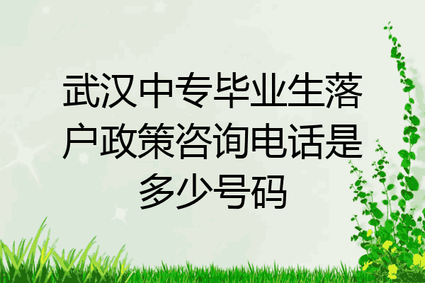 武汉中专毕业生落户政策咨询电话是多少号码