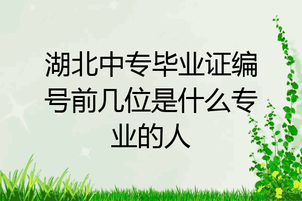 湖北中专毕业证编号前几位是什么专业的人