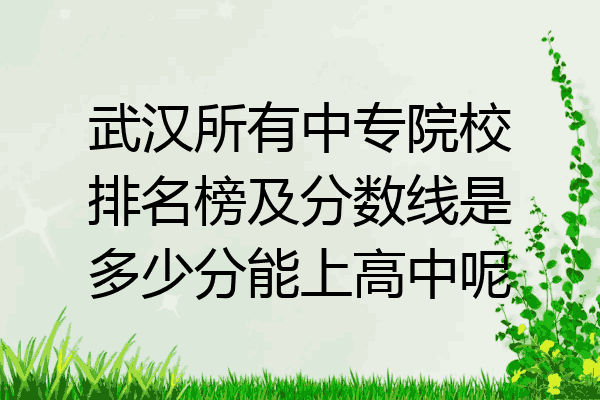 武汉所有中专院校排名榜及分数线是多少分能上高中呢