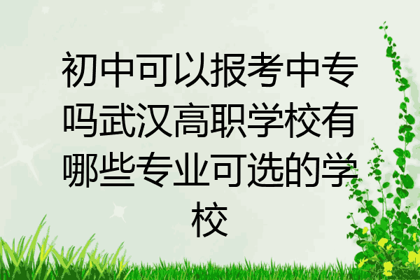 初中可以报考中专吗武汉高职学校有哪些专业可选的学校