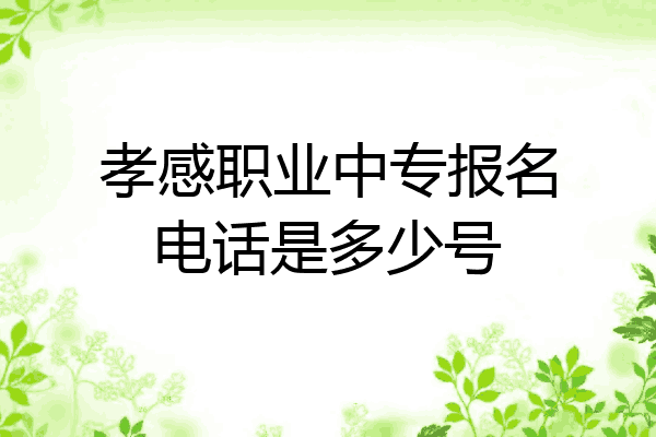 孝感职业中专报名电话是多少号