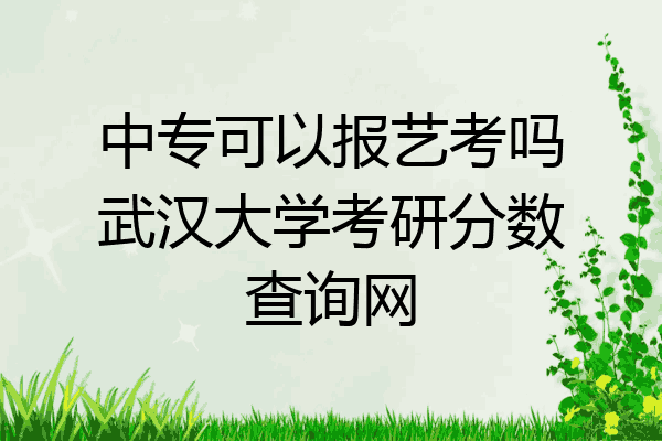 中专可以报艺考吗武汉大学考研分数查询网