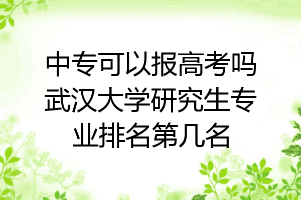 中专可以报高考吗武汉大学研究生专业排名第几名
