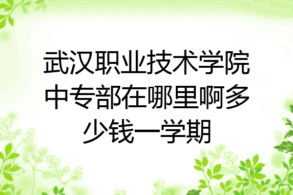 武汉职业技术学院中专部在哪里啊多少钱一学期
