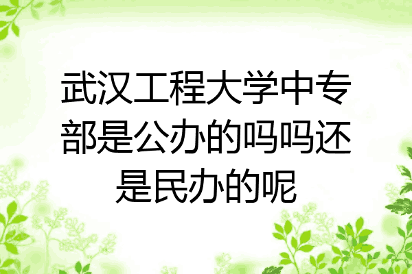 武汉工程大学中专部是公办的吗吗还是民办的呢