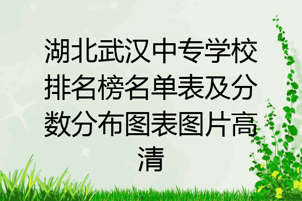 湖北武汉中专学校排名榜名单表及分数分布图表图片高清