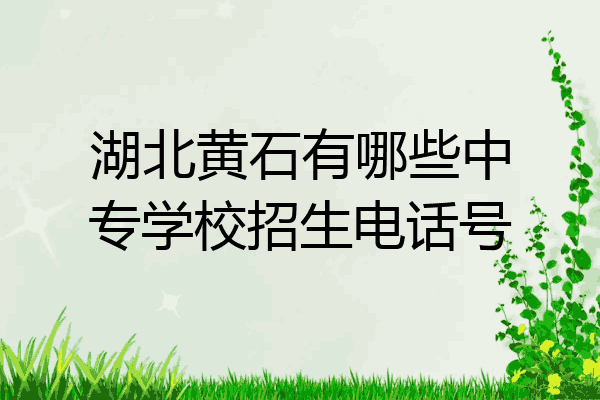 湖北黄石有哪些中专学校招生电话号