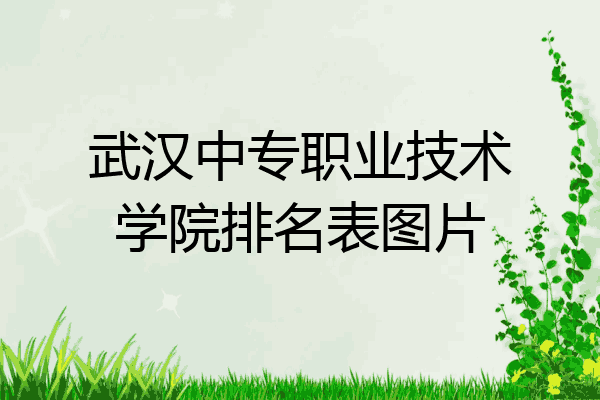 武汉中专职业技术学院排名表图片