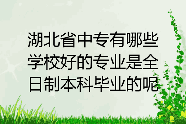 湖北省中专有哪些学校好的专业是全日制本科毕业的呢
