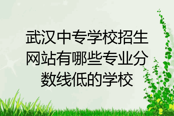 武汉中专学校招生网站有哪些专业分数线低的学校