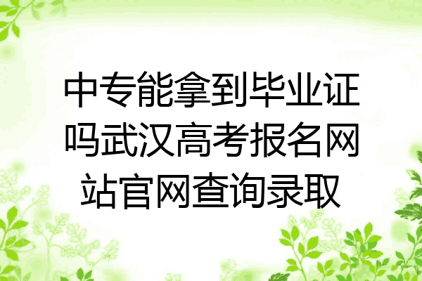 中专能拿到毕业证吗武汉高考报名网站官网查询录取