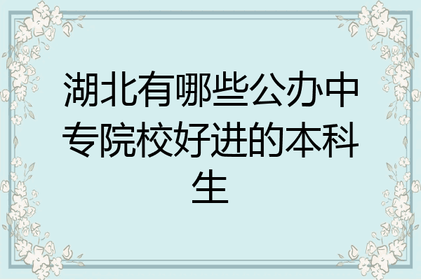 湖北有哪些公办中专院校好进的本科生