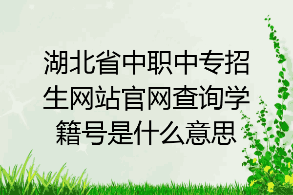 湖北省中职中专招生网站官网查询学籍号是什么意思