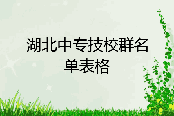 湖北中专技校群名单表格