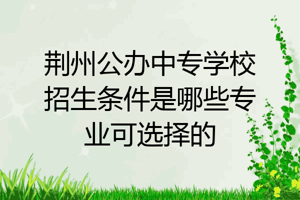 荆州公办中专学校招生条件是哪些专业可选择的