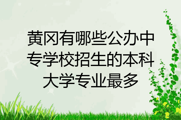 黄冈有哪些公办中专学校招生的本科大学专业最多