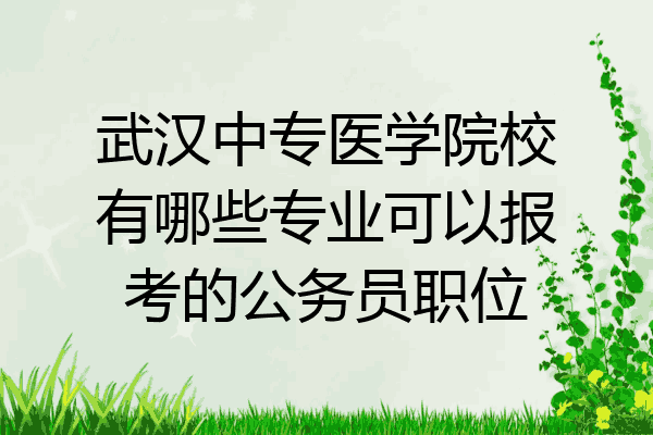 武汉中专医学院校有哪些专业可以报考的公务员职位