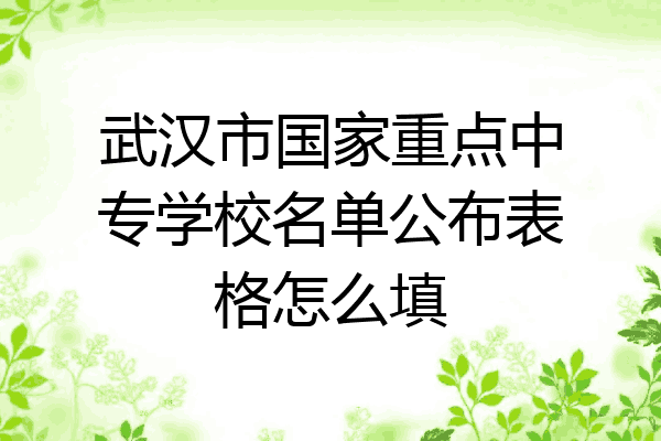 武汉市国家重点中专学校名单公布表格怎么填