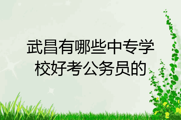 武昌有哪些中专学校好考公务员的