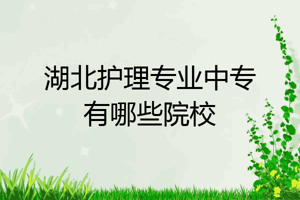 湖北护理专业中专有哪些院校