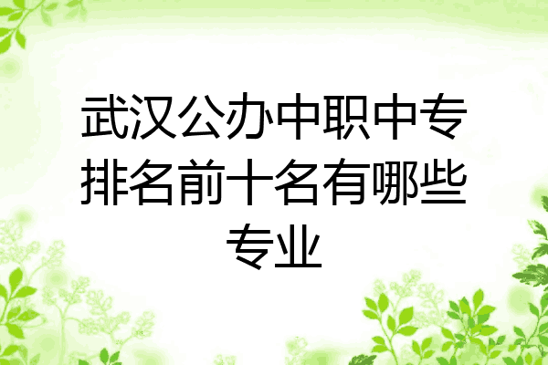 武汉公办中职中专排名前十名有哪些专业