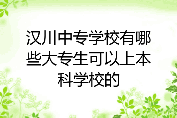 汉川中专学校有哪些大专生可以上本科学校的