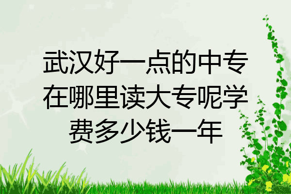 武汉好一点的中专在哪里读大专呢学费多少钱一年