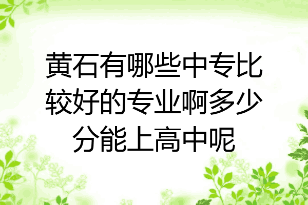 黄石有哪些中专比较好的专业啊多少分能上高中呢