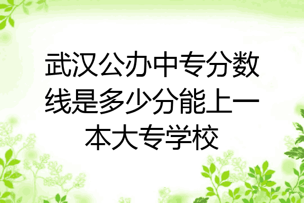 武汉公办中专分数线是多少分能上一本大专学校