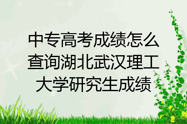 中专高考成绩怎么查询湖北武汉理工大学研究生成绩