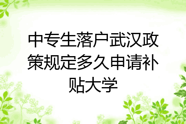 中专生落户武汉政策规定多久申请补贴大学