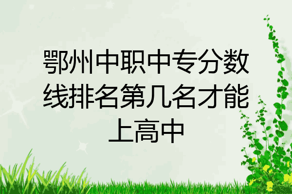 鄂州中职中专分数线排名第几名才能上高中