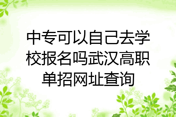 中专可以自己去学校报名吗武汉高职单招网址查询