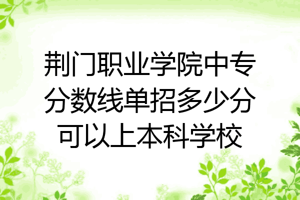 荆门职业学院中专分数线单招多少分可以上本科学校