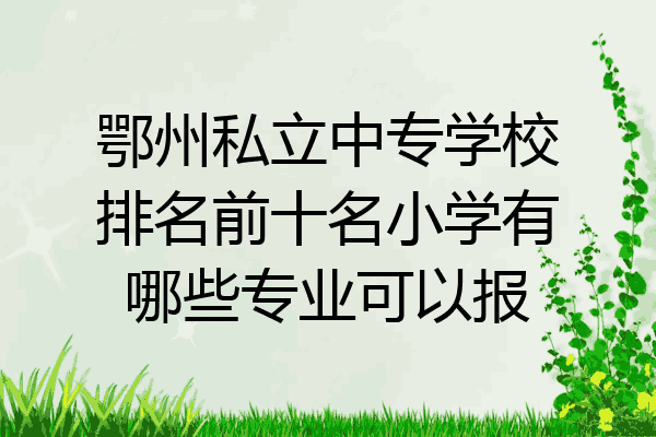 鄂州私立中专学校排名前十名小学有哪些专业可以报