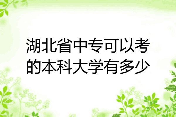 湖北省中专可以考的本科大学有多少