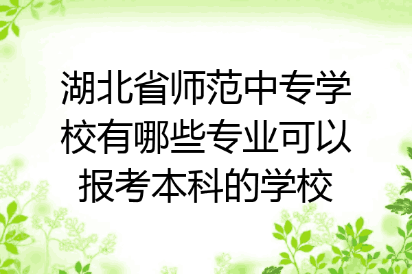 湖北省师范中专学校有哪些专业可以报考本科的学校