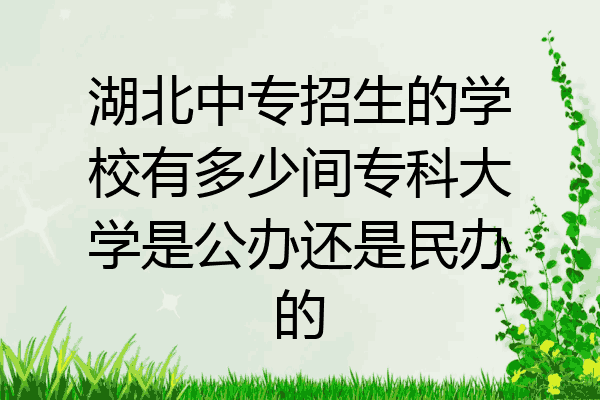 湖北中专招生的学校有多少间专科大学是公办还是民办的