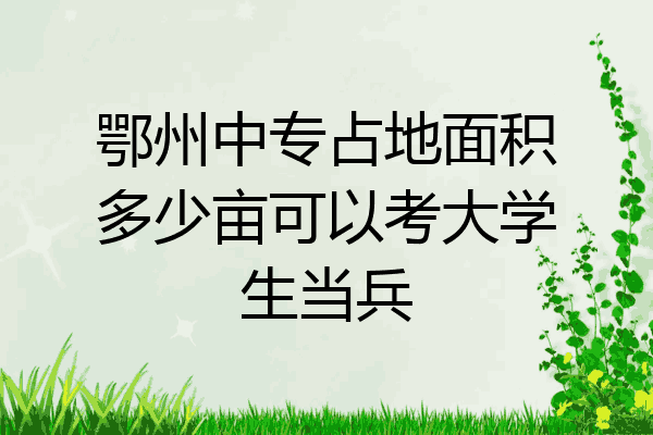 鄂州中专占地面积多少亩可以考大学生当兵