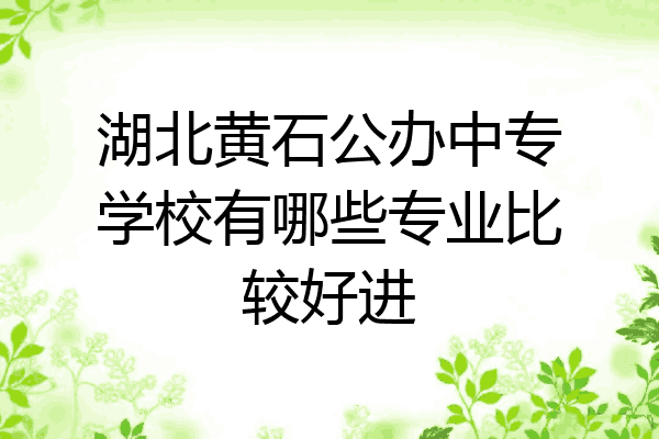 湖北黄石公办中专学校有哪些专业比较好进