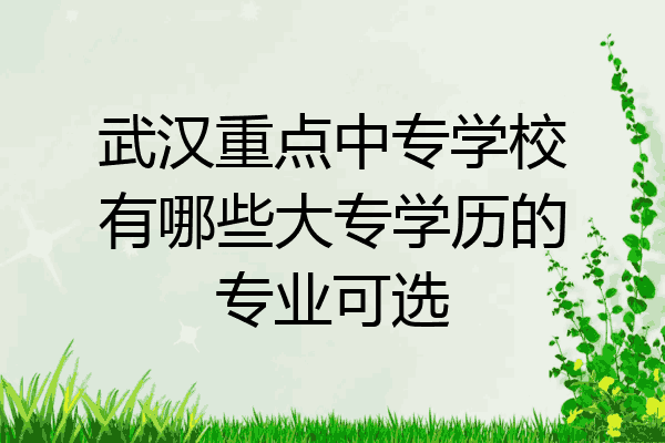 武汉重点中专学校有哪些大专学历的专业可选