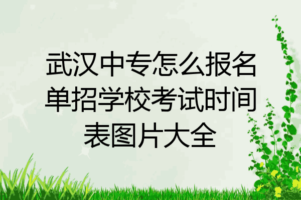 武汉中专怎么报名单招学校考试时间表图片大全