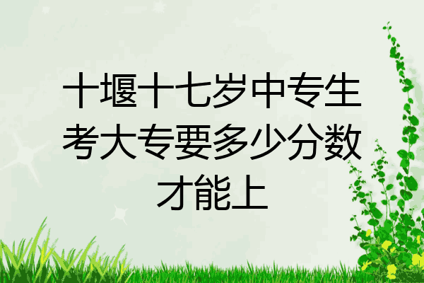 十堰十七岁中专生考大专要多少分数才能上